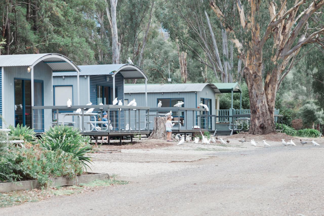 Eildon Pondage Holiday Park Eksteriør bilde